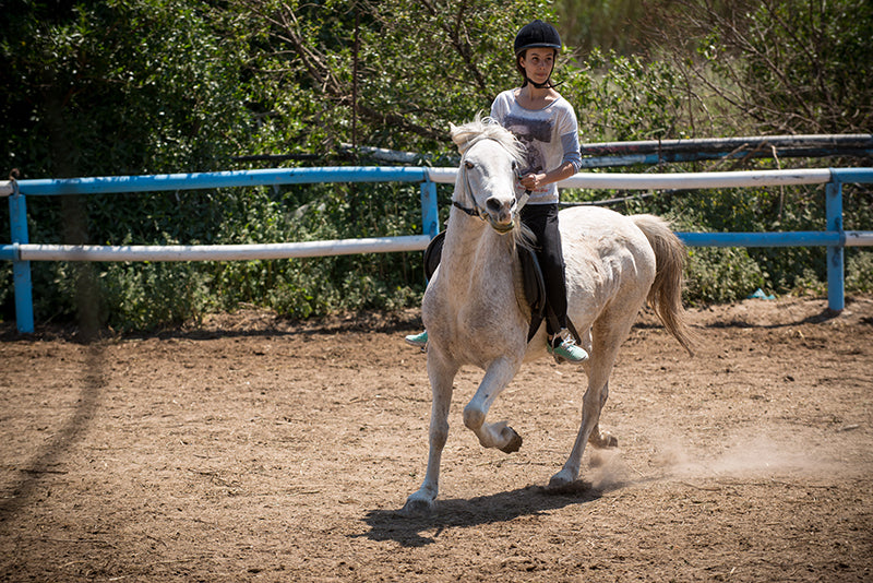 Day Tour -  Explore the Cretan nature on a horseback ride