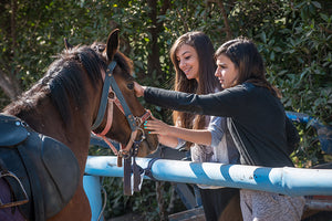 Day Tour -  Explore the Cretan nature on a horseback ride