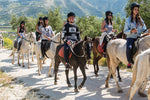 Load image into Gallery viewer, Day Tour -  Explore the Cretan nature on a horseback ride
