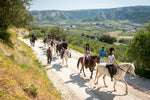 Load image into Gallery viewer, Day Tour -  Explore the Cretan nature on a horseback ride
