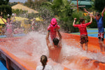 Load image into Gallery viewer, Water Park
